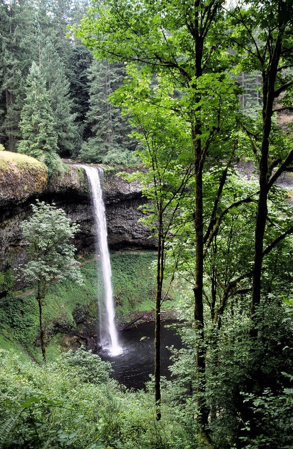 Silver Falls State Park stock photo. Image of sublimity 211786948