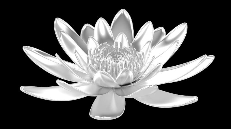 Silver lotus flower water lily