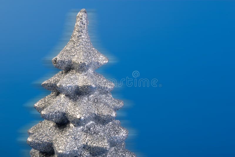 Silver tree top close-up