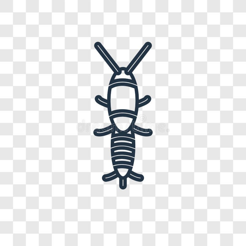 Download Silverfish Bug Stock Illustrations - 61 Silverfish Bug Stock Illustrations, Vectors & Clipart ...