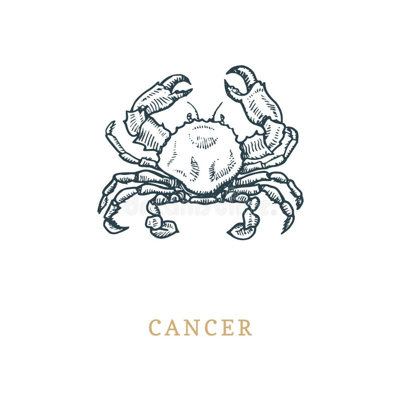 Simbolo dello zodiaco del Cancro, disegnato a mano nell'incisione dello stile Illustrazione del grafico di vettore retro del gran royalty illustrazione gratis