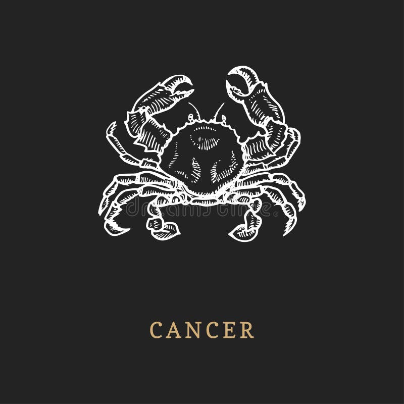 Simbolo dello zodiaco del Cancro, disegnato a mano nell'incisione dello stile Illustrazione del grafico di vettore retro del gran royalty illustrazione gratis