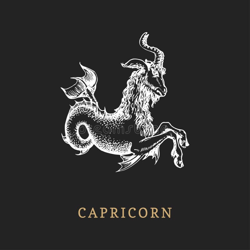 Simbolo dello zodiaco di capricorno, disegnato a mano nell'incisione dello stile Illustrazione del grafico di vettore retro della illustrazione di stock