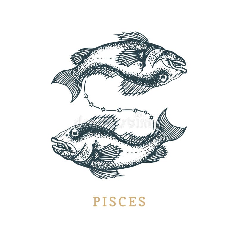 Simbolo dello zodiaco di pesci, disegnato a mano nell'incisione dello stile Illustrazione del grafico di vettore retro del pesce illustrazione vettoriale