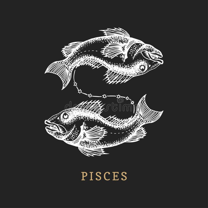 Simbolo dello zodiaco di pesci, disegnato a mano nell'incisione dello stile Illustrazione del grafico di vettore retro del pesce royalty illustrazione gratis