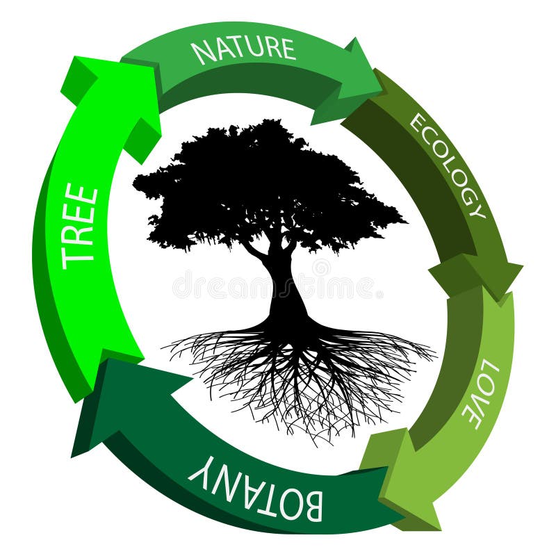 Illustration of ecology symbol on a white background. Illustration of ecology symbol on a white background.