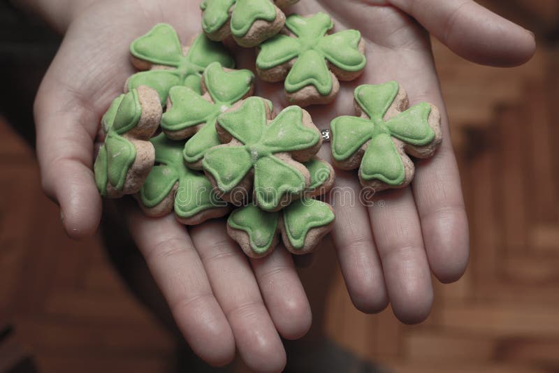 Simbolo di trifoglio San Patrizio piegato in una pila sulle mani di una ragazza tonda di primo piano fotografia stock Simbolo di trifoglio San Patrizio piegato in una pila sulle mani di una ragazza tonda di primo piano fotografia stock