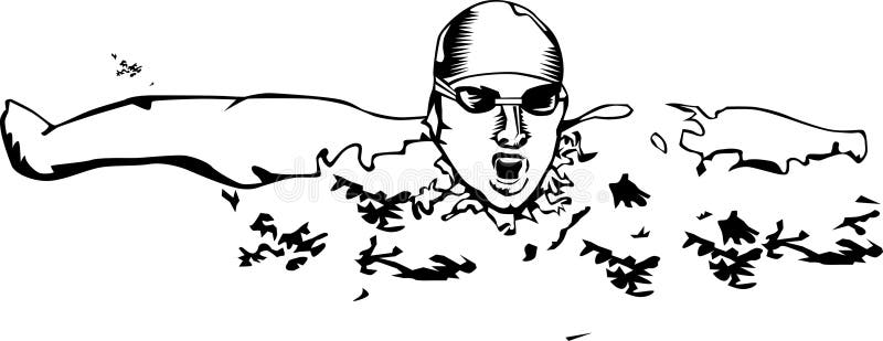 simmare vektor illustrationer simmare vektor illustrationer