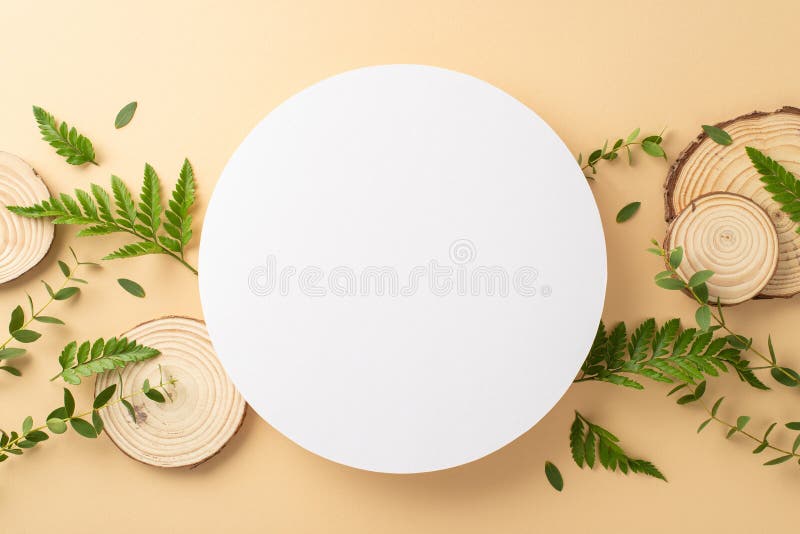 Simpla frumusețe a naturii sălbatice concept. Imagine de sus a cadrului rotund gol cu eucalipt royalty free stock image