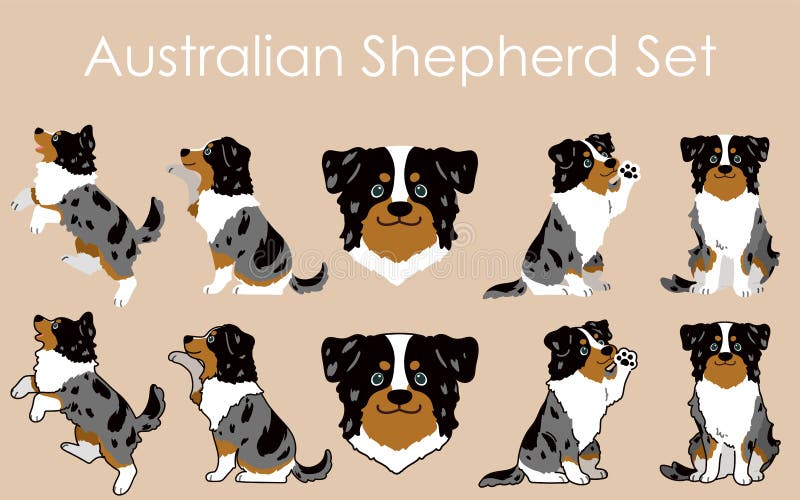 Simple and Adorable Australian Shepherd Illustrations Set Stock Vector ...