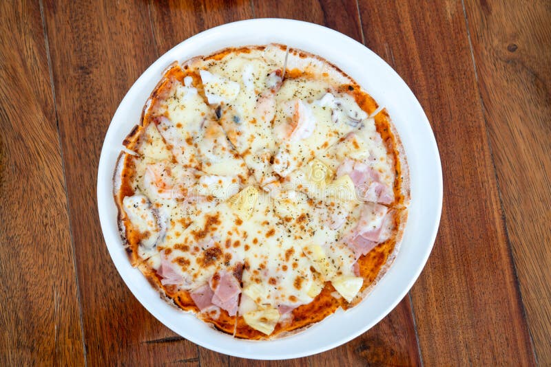 Simple and Basic NormalI Solated Full Circle Pizza in White Dish on
