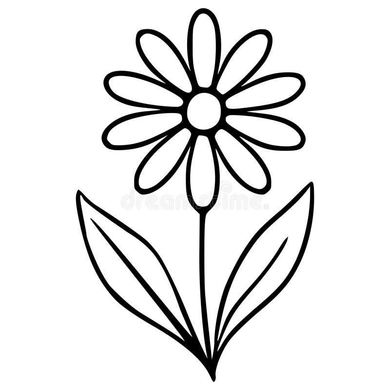 White Daisy Black Background Stock Illustrations – 13,437 White