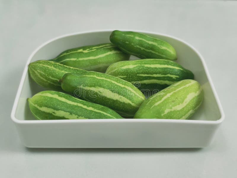 A simple, bright photo of several striped green gourds resting neatly inside a plain, white, rectangular bowl. stock images
