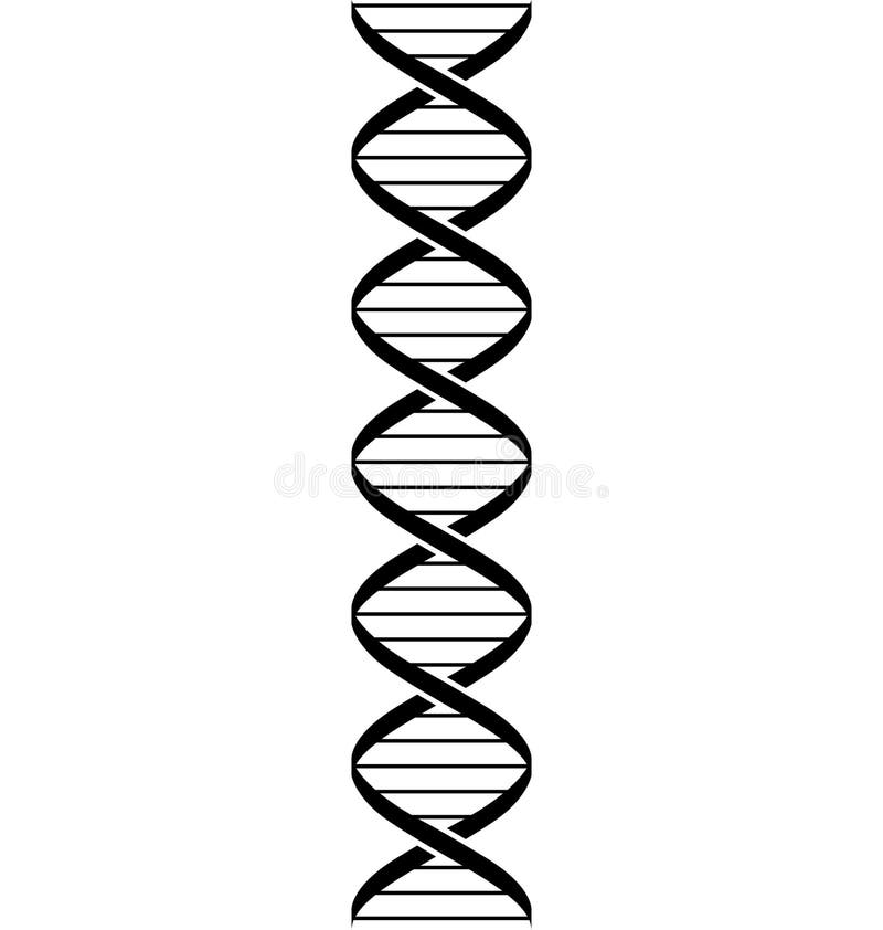 Simple brin dna stylisé double hélice illustration stock