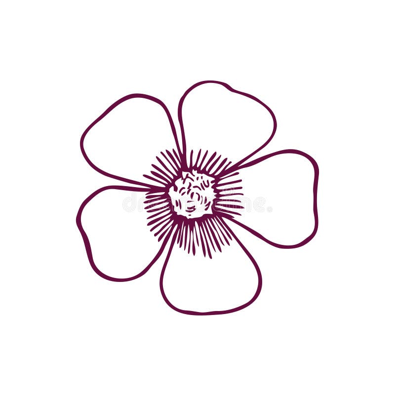 Simple Flower Drawings: 20+ Step By Step Tutorials | Masha Plans-saigonsouth.com.vn