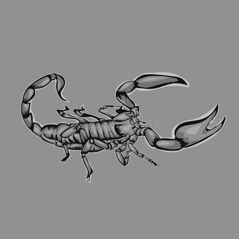 Simple design of illustration scorpion stock illustration
