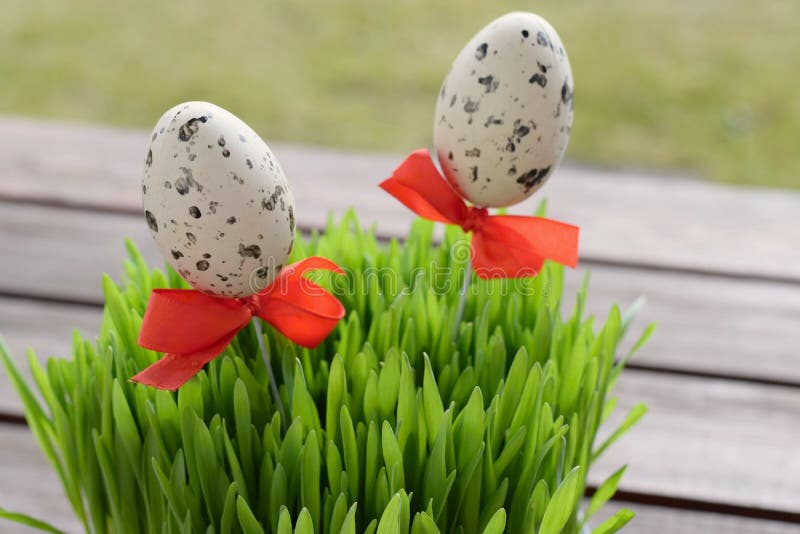 Simple Easter Decoration With Mottled Eggs And Wheat Grass Stock Image