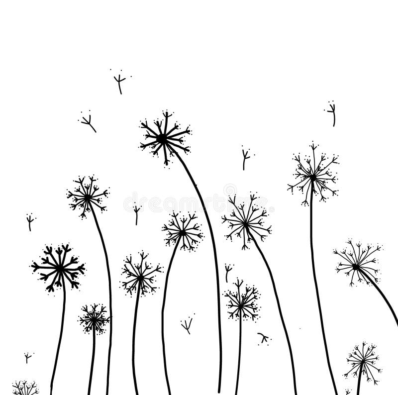 A simple yet elegant black line illustration of a delicate dandelion seedhead with seeds blowing in the wind. royalty free illustration