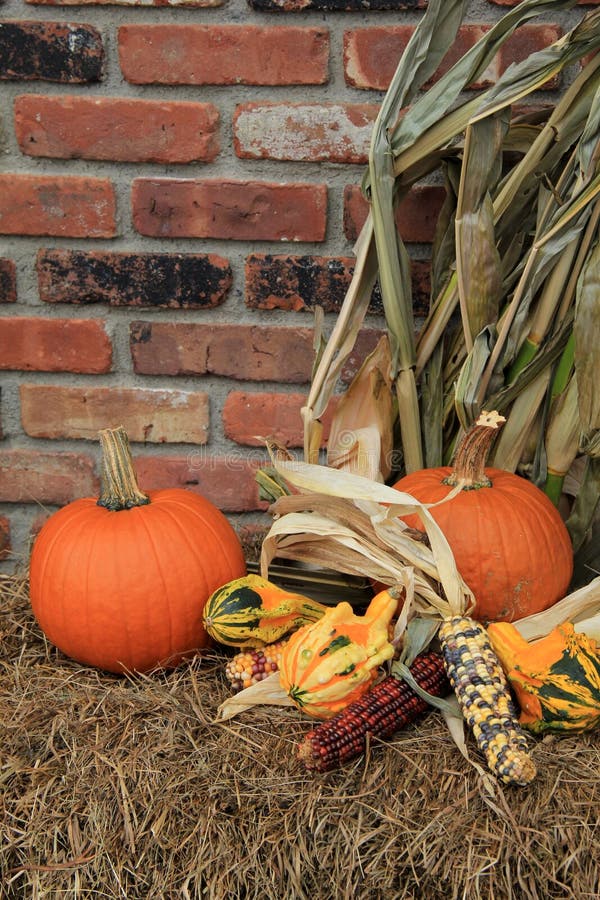 Simple Fall scene with pumpkins,squash and Indian Corn