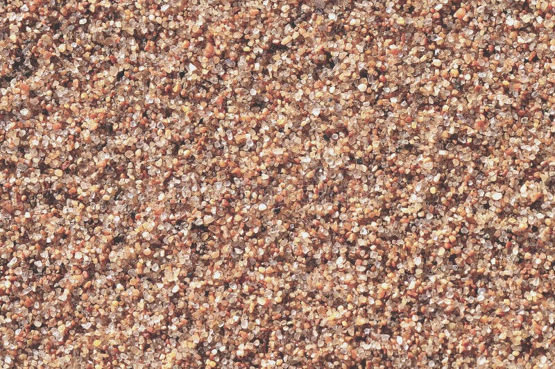 Simple flat sand texture. Micro. Sand micro stock images, royalty-free photos and pictures