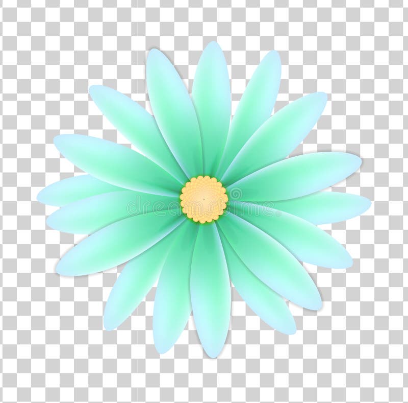 Simple Flower on a Transparent Background Stock Vector - Illustration of  colorful, leaves: 124922088