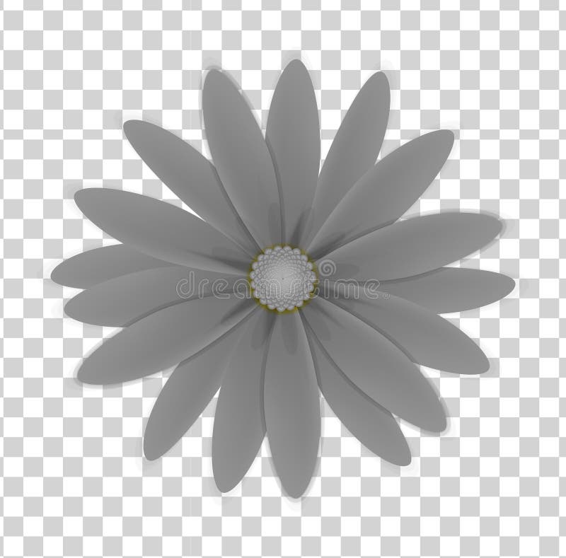 simple flower pattern png