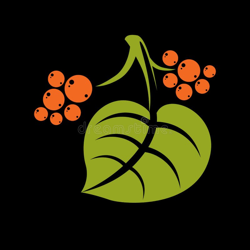 Simple green vector leaf with orange seeds of deciduous tree, stylized nature element. Ecology symbol, can be used in graphic.