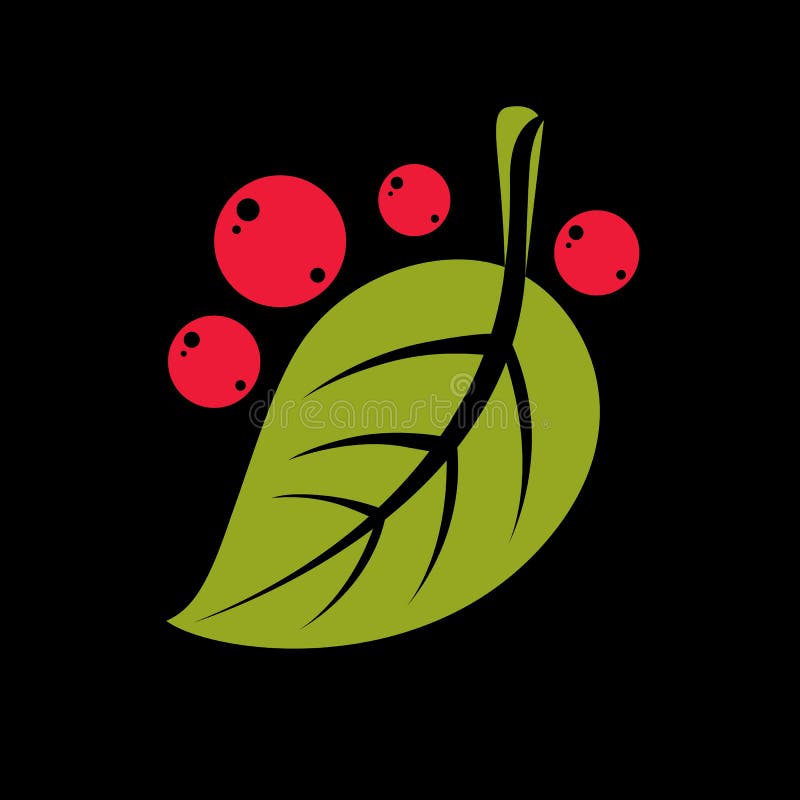 Simple green vector leaf with red seeds of deciduous tree, stylized nature element. Ecology symbol, can be used in graphic design