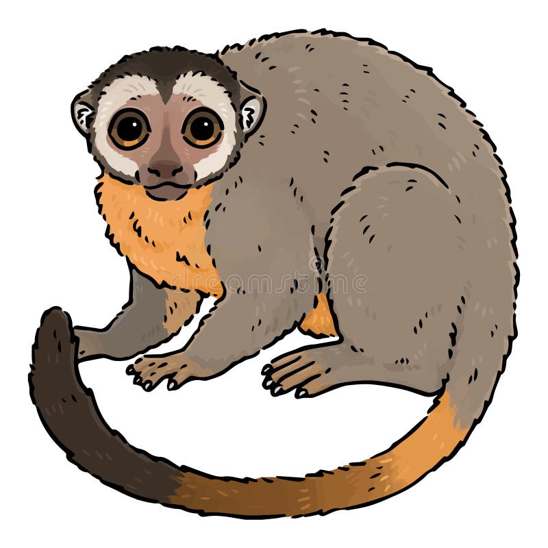 Simple illustration de mignon singe nocturne illustration de vecteur