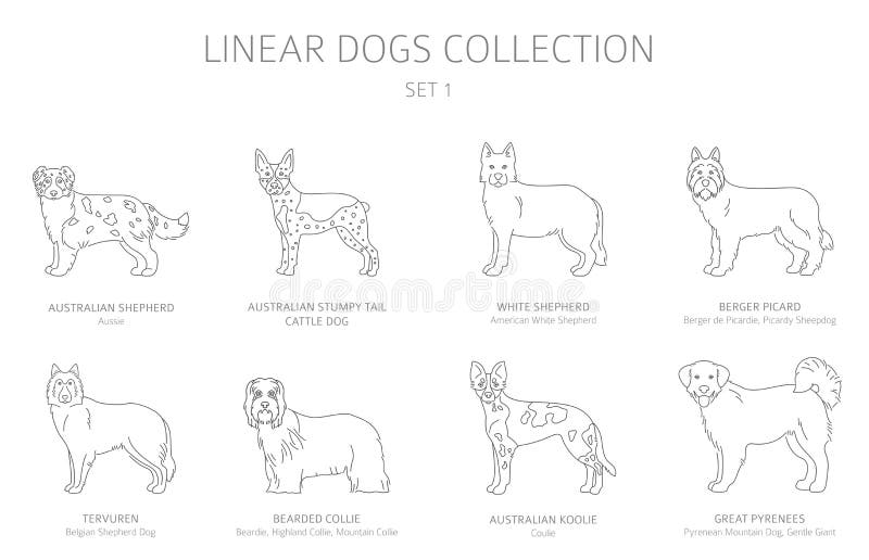 Simple line dogs collection isolated on white. Dog breeds. Flat style clipart set. Vector illustration