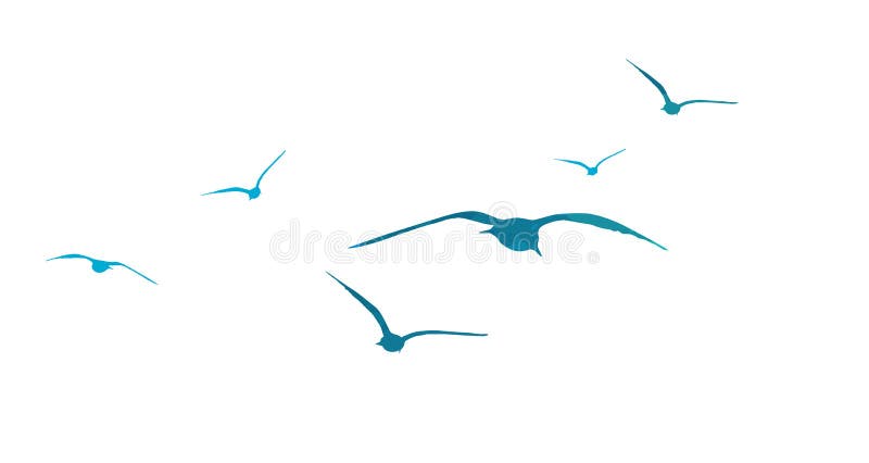 Blue flying seagulls. Vector illustration vector illustration