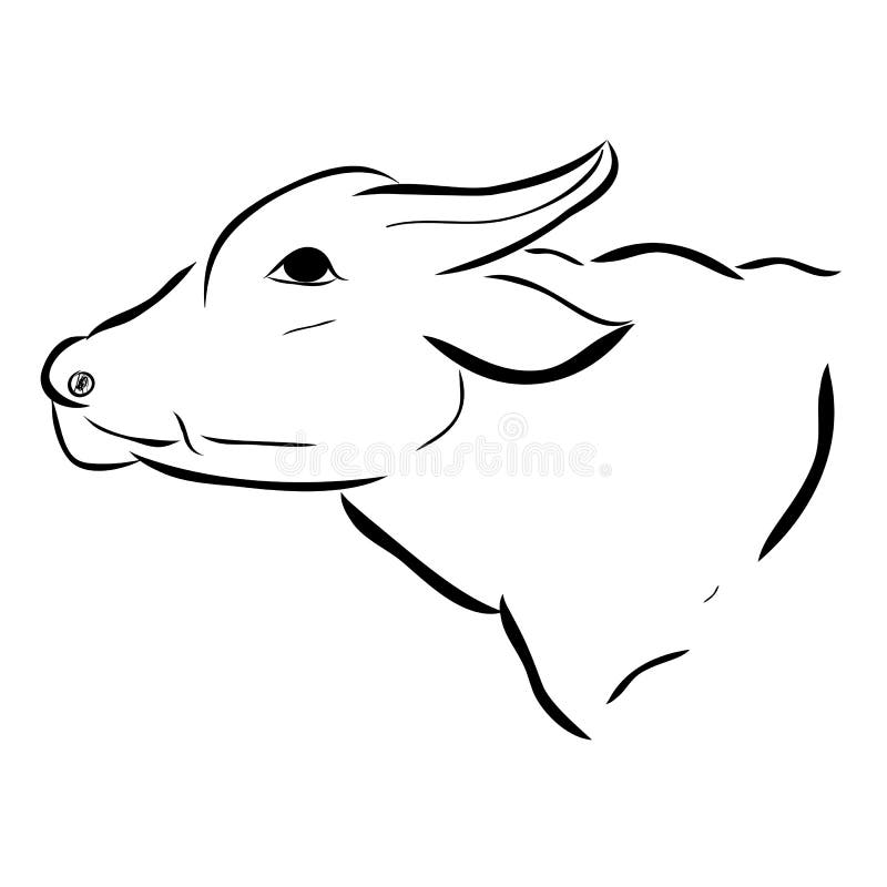 Head of buffalo isolated stock illustration. Illustration of hardwood