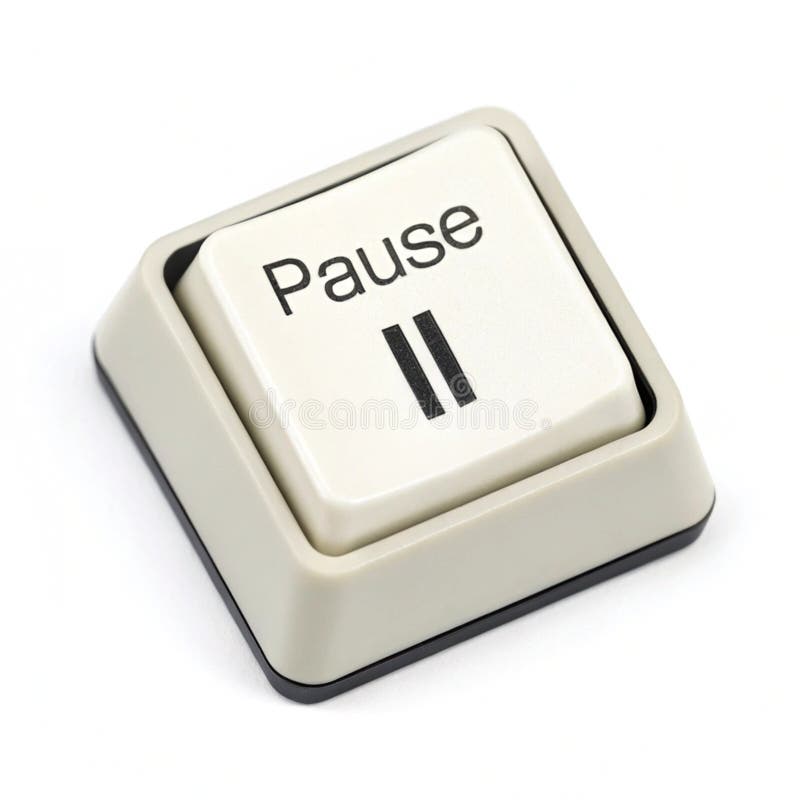 Pause button isolated on white background vector illustration