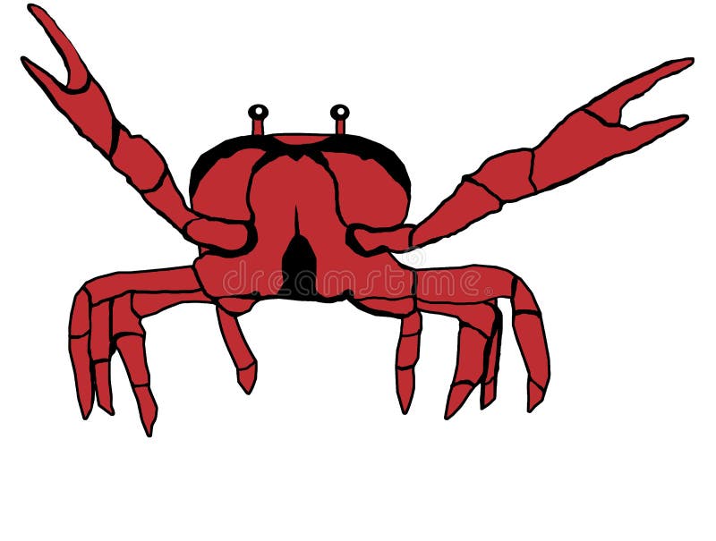 Red crab illustration royalty free illustration