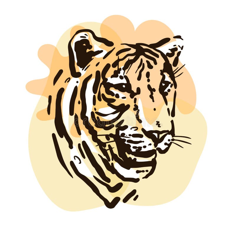 Sketch Portrait of a Tiger. Hand Drawn Color Illustration. Wild Animal ...