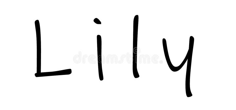 Lily Name Stock Illustrations 248 Lily Name Stock Illustrations