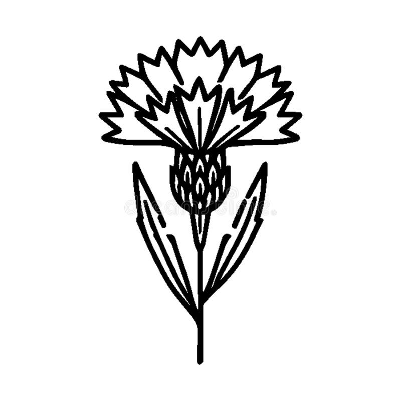 Simple Vector Icon of a Cornflower �\' Logo Design Illustration. vector illustration