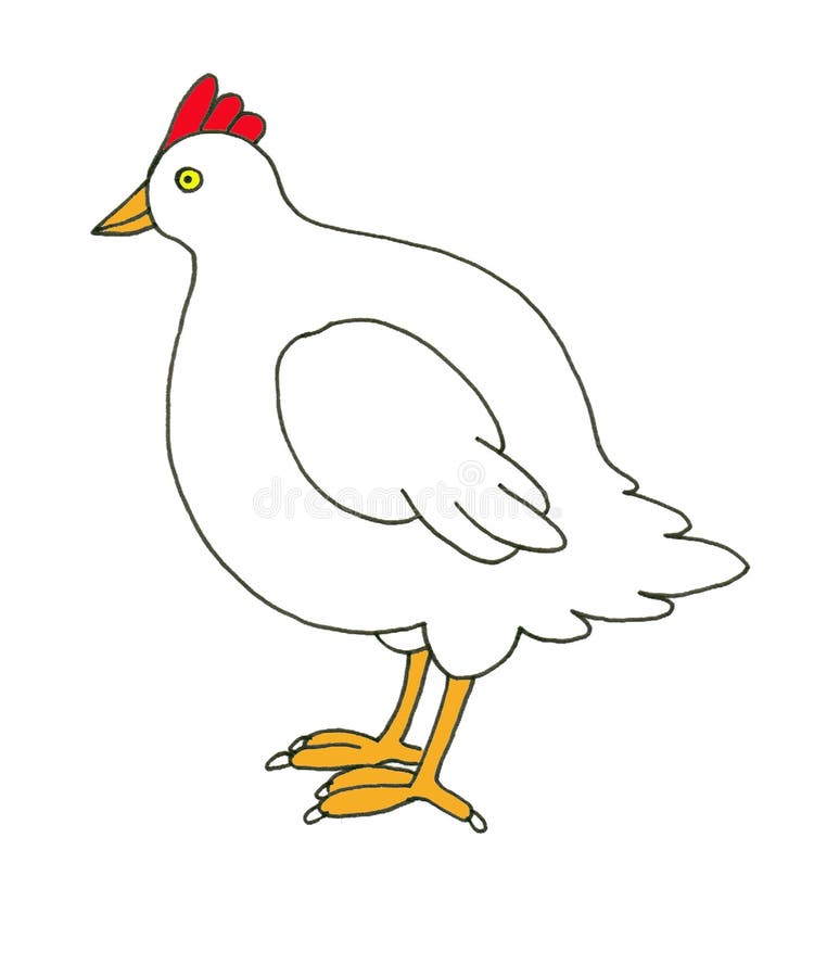 Simple White Hen stock illustration. Illustration of roost - 13933648