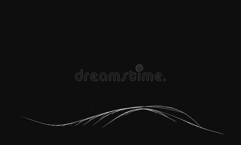 Simple White Wavy Lines on Black Background. May Be Sound Wave, Volume  Level or Signal, Floral or Natural Concept Stock Image - Image of glossy,  luxury: 217269183
