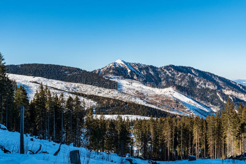 Kopec Sina v zimě Nízké Tatry na Slovensku