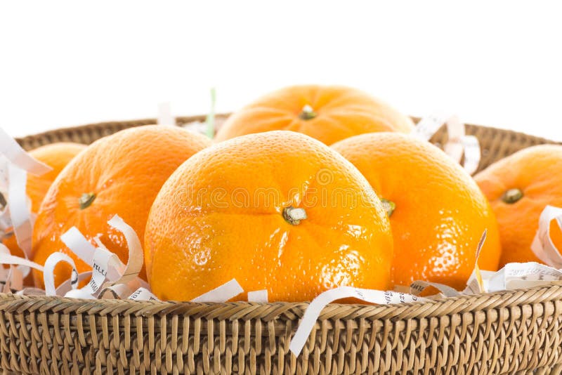 Oranges on shredded paper in basket.isolate on white background. Oranges on shredded paper in basket.isolate on white background.