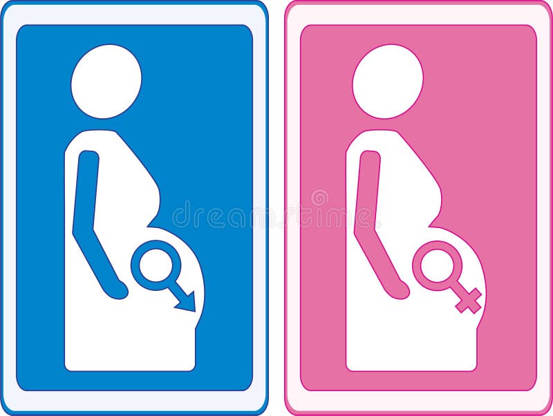 Sinais da gravidez ilustração do vetor. Ilustração de projeto - 33504481