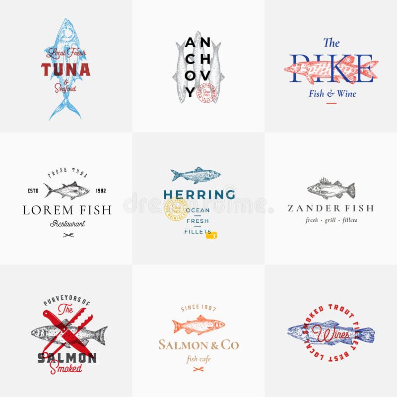 Sinais retros ou Logo Templates Set do vetor dos peixes da qualidade superior Esboços tirados mão dos peixes do vintage com tipog ilustração stock Sinais retros ou Logo Templates Set do vetor dos peixes da qualidade superior Esboços tirados mão dos peixes do vintage com tipog ilustração stock