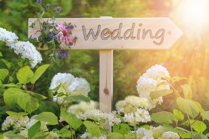 Sinal de madeira da cerimônia de casamento com um ramalhete dos wildflowers em um fundo das hortênsias brancas imagens de stock Sinal de madeira da cerimônia de casamento com um ramalhete dos wildflowers em um fundo das hortênsias brancas imagens de stock