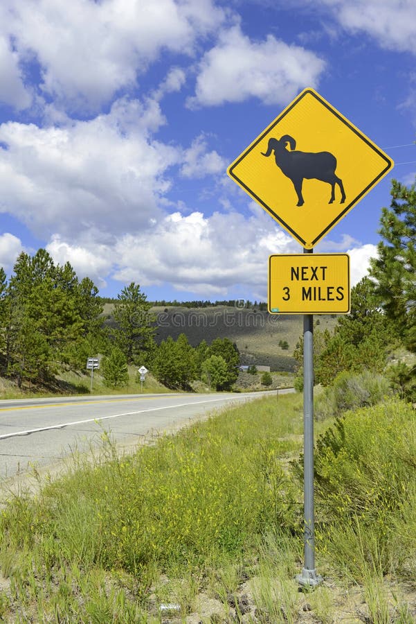 Sinal para carneiros de Bighorn Rocky Mountains, Colorado imagem de stock Sinal para carneiros de Bighorn Rocky Mountains, Colorado imagem de stock
