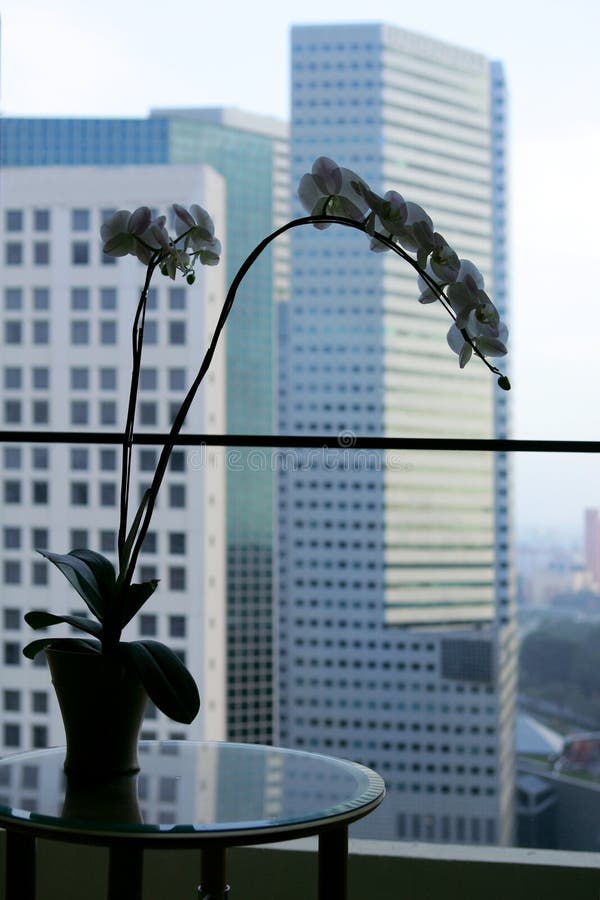 Singapore fotografia de stock royalty free Singapore fotografia de stock royalty free