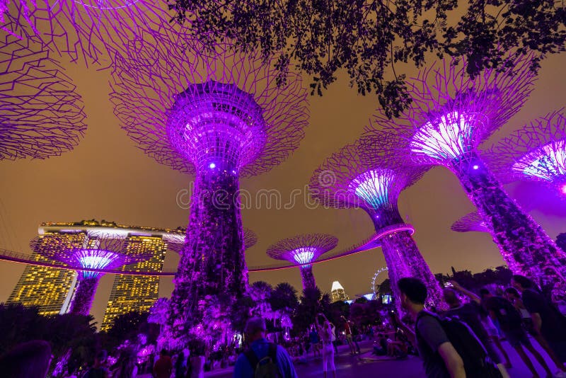 Singapore Night Skyline at Gardens by the Bay. SuperTree Grove under Blue Night Sky in Singapore. royalty free stock photos Singapore Night Skyline at Gardens by the Bay. SuperTree Grove under Blue Night Sky in Singapore. royalty free stock photos
