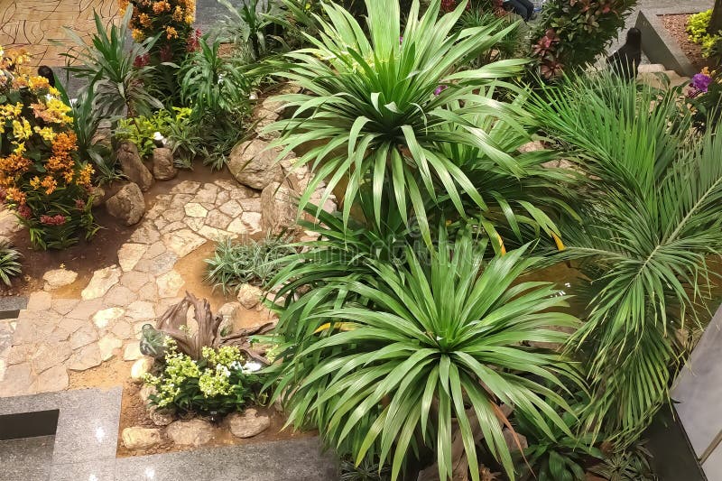 Singapore, il 6 febbraio 2019: Interno verde dei giardini dell'aeroporto di Singapore Vista superiore immagini stock Singapore, il 6 febbraio 2019: Interno verde dei giardini dell'aeroporto di Singapore Vista superiore immagini stock