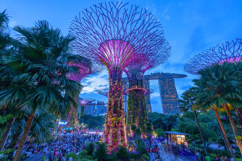 SINGAPORE JANUARY 27, 2020 Supertrees at Gardens by the Bay. the