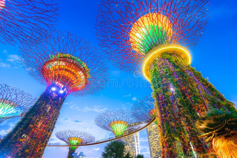 SINGAPORE JANUARY 27, 2020 Supertrees at Gardens by the Bay. the